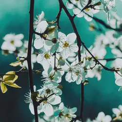 유비온, 차세대 AI 기반 학습플랫폼 '코스모스' 전격 출시